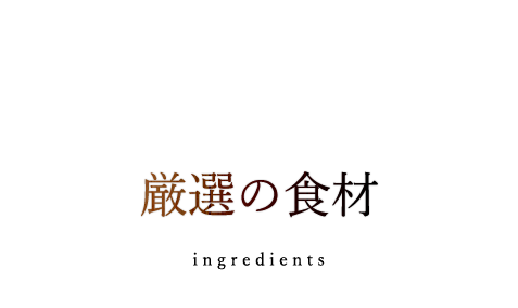 コース構成の一例